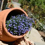 Σπίτι διακοπών La Terra Petra