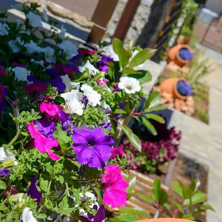 Vakantiehuis La Terra Petra