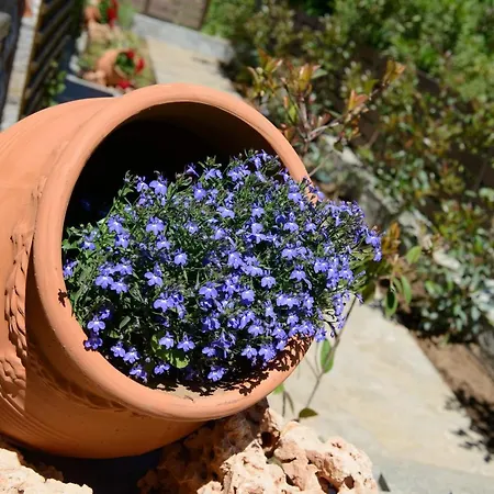 Vakantiehuis La Terra Petra