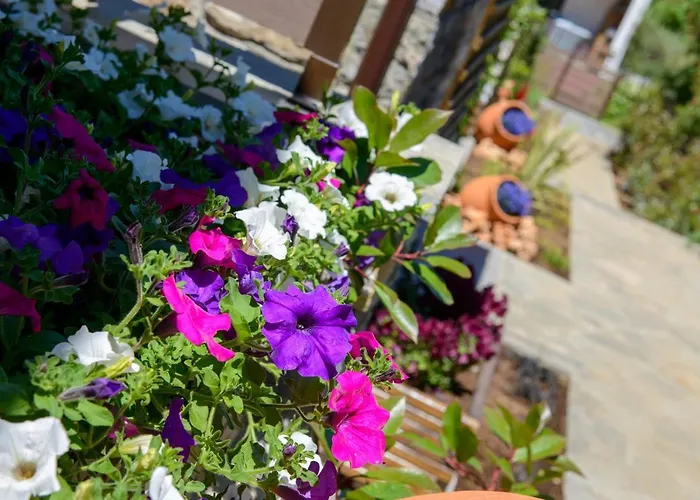 Tatil Evi La Terra Petra