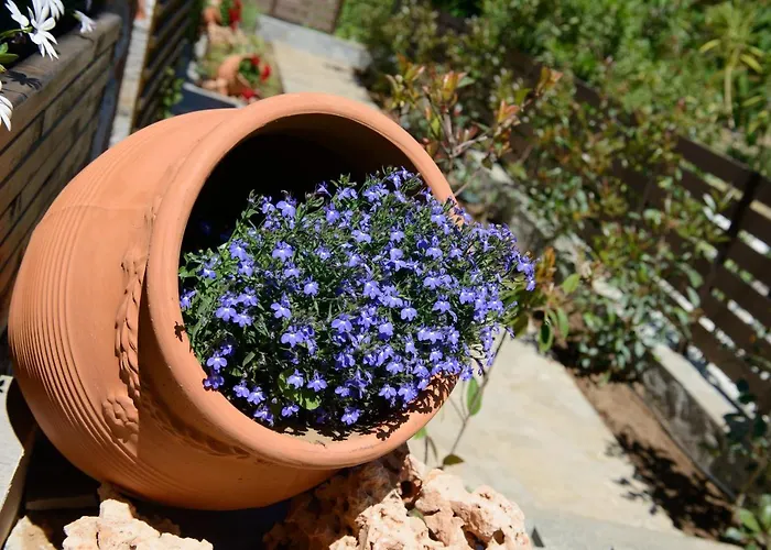 Tatil Evi La Terra Petra